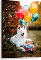 WallClassics - Canvas - Liggende Hond met Bal en Ballonnen - 80x120 cm Foto op Canvas Schilderij (Wanddecoratie op Canvas)