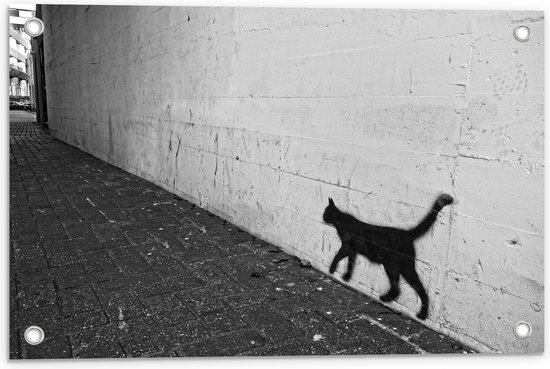 WallClassics - Tuinposter – Muurversiering van Kat - 60x40 cm Foto op Tuinposter (wanddecoratie voor buiten en binnen)