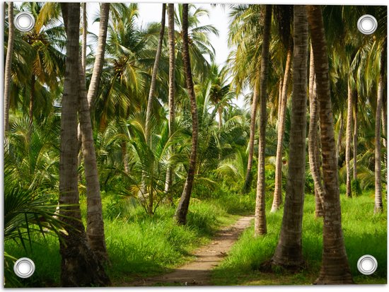Tuinposter – Bospad in Bos van Hoge Palmbomen met Groen Gras - 40x30 cm Foto op Tuinposter (wanddecoratie voor buiten en binnen)
