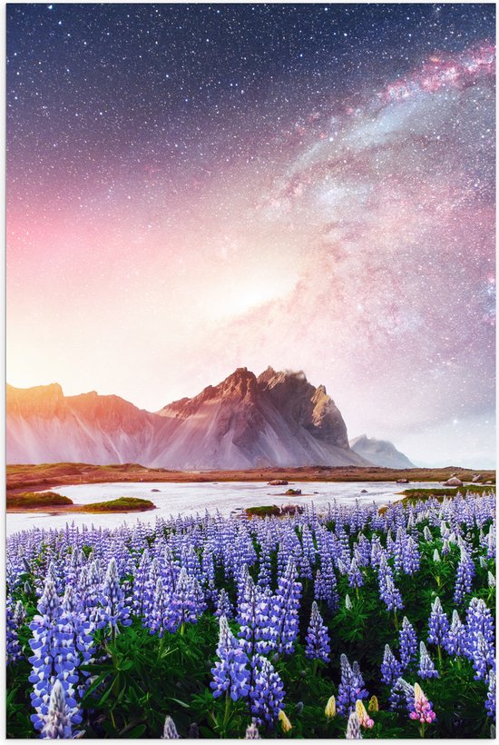 Poster Glanzend – Lavendelveld in Landschap met Bergen onder Sterrenhemel - 60x90 cm Foto op Posterpapier met Glanzende Afwerking