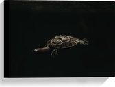 WallClassics - Canvas - Schildpad zwemmend in Zwart Water - 40x30 cm Foto op Canvas Schilderij (Wanddecoratie op Canvas)