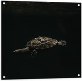 WallClassics - Tuinposter – Schildpad zwemmend in Zwart Water - 80x80 cm Foto op Tuinposter (wanddecoratie voor buiten en binnen)