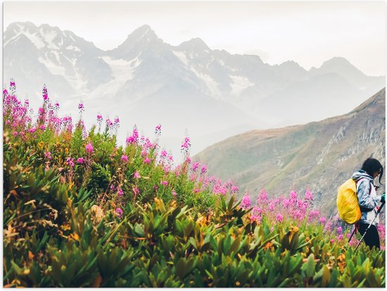 Poster Brillant – Randonneur dans un paysage de montagne avec un champ de fleurs roses - 40x30 cm Photo sur papier poster avec finition brillante