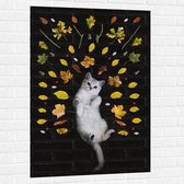 WallClassics - Muursticker - Liggende Kat omringt door Blaadjes - 80x120 cm Foto op Muursticker