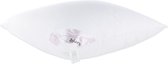 Bjorn Provence Support - Hoofdkussen - Natuurlijke ganzendons - 60x60