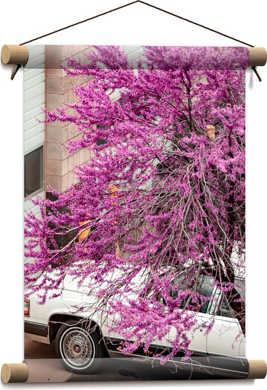 WallClassics - Textielposter - Roze Bloesemboom boven Witte Auto - 30x40 cm Foto op Textiel