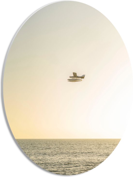 WallClassics - PVC Schuimplaat Ovaal - Vliegtuig Vliegend boven Water met Boeien bij Lichtkleurige Lucht - 30x40 cm Foto op Ovaal (Met Ophangsysteem)