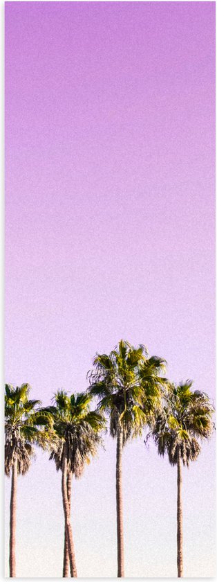 Poster (Mat) - Vier Hoge Smalle Palmbomen op Pastelroze Achtergrond - 20x60 cm Foto op Posterpapier met een Matte look