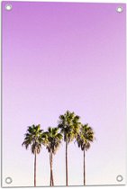 Tuinposter – Vier Hoge Smalle Palmbomen op Pastelroze Achtergrond - 40x60 cm Foto op Tuinposter (wanddecoratie voor buiten en binnen)