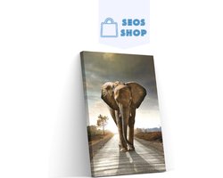 SEOS Shop ® Diamond Painting Volwassenen - Diamond Painting Kinderen - Diamond Painting Pakket Volledig - Safari Olifant - 30x25 cm