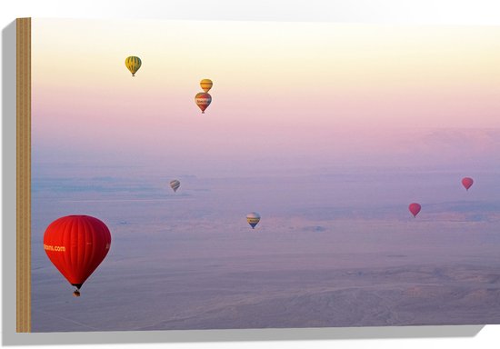 WallClassics - Hout - Ballonvaarten in Verschillende Luchtballonnen - 60x40 cm - 9 mm dik - Foto op Hout (Met Ophangsysteem)