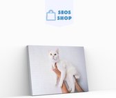 SEOS Shop ® Diamond Painting Volwassenen - Diamond Painting Kinderen - Diamond Painting Pakket Volledig - Witte kat - 45x30cm