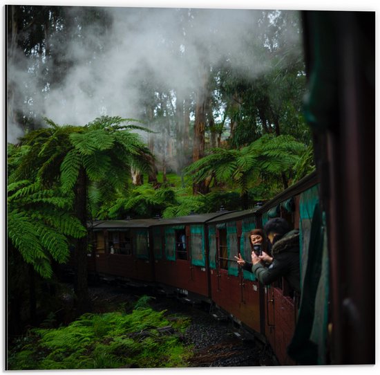WallClassics - Dibond - Train à vapeur à travers la jungle - 50x50 cm Photo sur aluminium (Décoration murale en métal)
