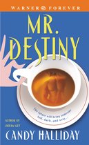 Mr Destiny