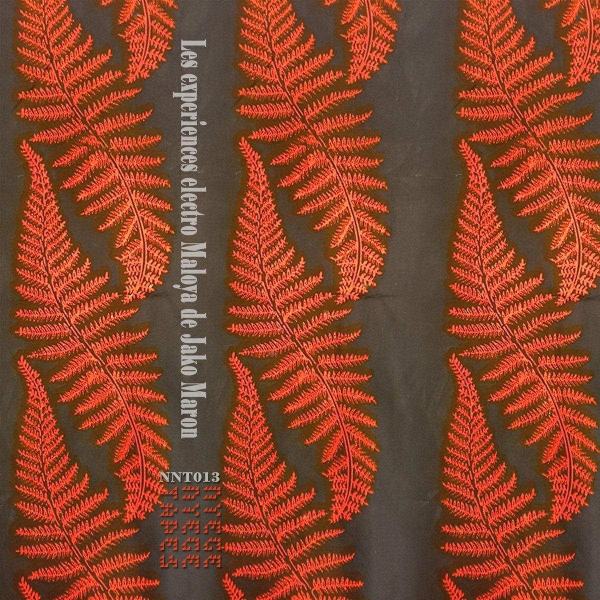 Jako Maron - The Electro Maloya Experiments Of Jako Maron (2 LP) (Limited Edition)
