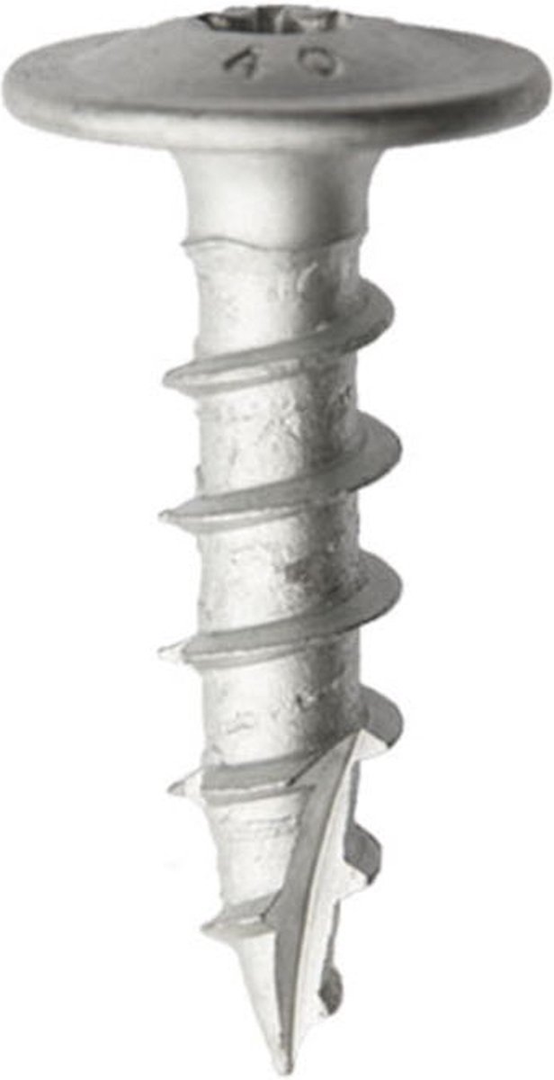 Paalhouderschroef Verzinkt 10 x 40 mm | Doos 50 stuks