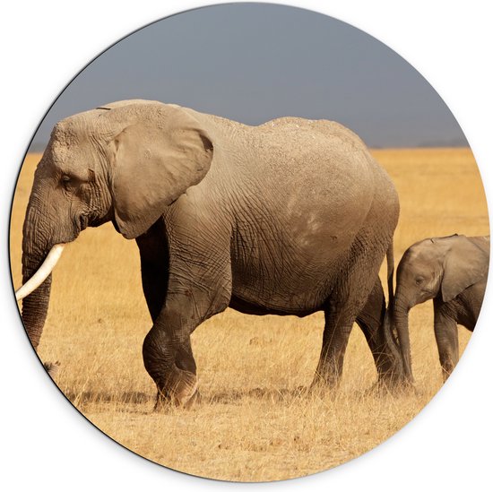 Dibond Muurcirkel - Afrikaanse Olifant met Baby Olifantje - 70x70 cm Foto op Aluminium Muurcirkel (met ophangsysteem)