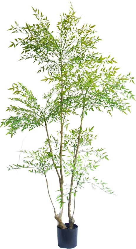 Greenmoods Kunstplanten - Kunstplanten - Kunstplant Ruscus - Zijde - 180 cm