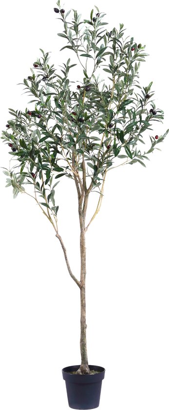Greenmoods Kunstplanten - Kunstplanten - Kunst Olijfboom - Zijde - 180 cm