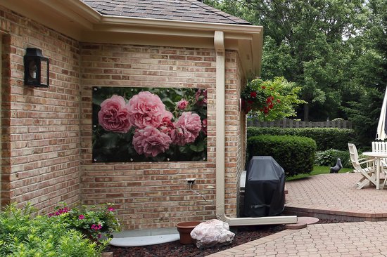 Affiche de jardin rose - Fleurs - Roses - 130x80 cm - Décoration murale extérieure - Affiche de jardin - Toile de jardin - Affiche de clôture - Peinture de jardin