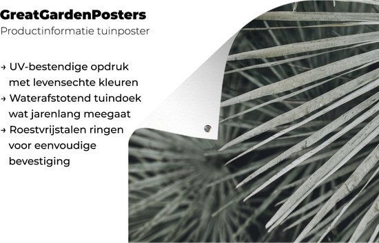 Tableau jardin Feuilles - Vert - Palmier - 80x60 cm - Poster jardin