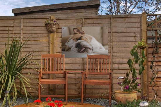 Bulldog anglais dort sur le canapé Affiche de jardin 60x40 cm - petit - Toile de jardin / Toile d'extérieur / Peintures pour l'extérieur (décoration de jardin)