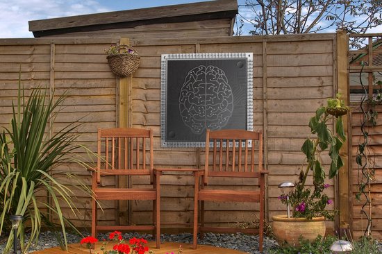 Une illustration d'affiche de jardin de cerveaux en forme artificielle 50x50 cm - petit - Toile de jardin / Toile d'extérieur / Peintures pour l'extérieur (décoration de jardin)