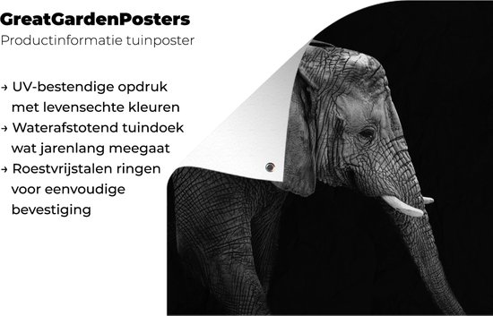 Poster de Jardin Éléphant - Zwart et blanc - Portrait - Animaux - 200x200 cm - Toile de jardin - Poster extérieur