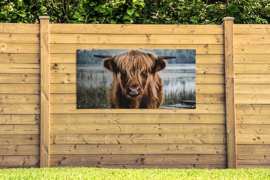 Affiche de clôture Vaches - Highlander écossais - Marron - Nature - 200x100 cm - Toile de jardin