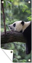 Wanddecoratie buiten Panda - Boom - Dieren - Natuur - 80x160 cm - Tuindoek - Buitenposter