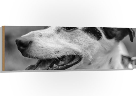 Hout - Opzijkijkende Hijgende Hond (Zwart- wit) - 120x40 cm - 9 mm dik - Foto op Hout (Met Ophangsysteem)