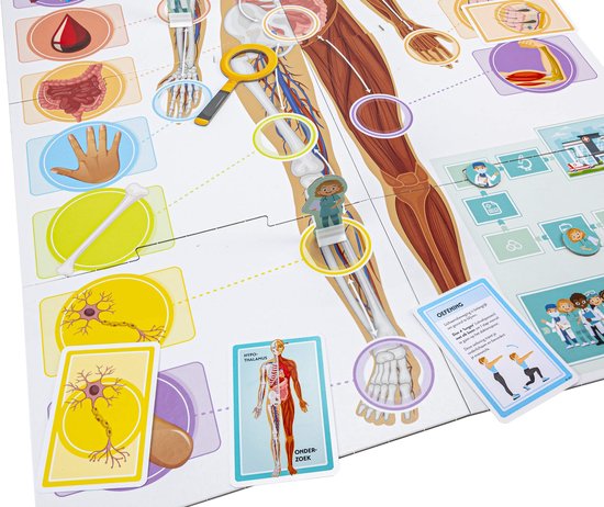 Bordspel met afbeelding van het menselijk lichaam, organen, botten en neuronen.