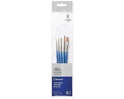 Winsor & Newton 5390609 Cotman Synthetic Hair Watercolor 5 Brushes in a Set - 4 Round Brushes No. 00, 2, 4, 6 1 Single Stroke Brush 6mm