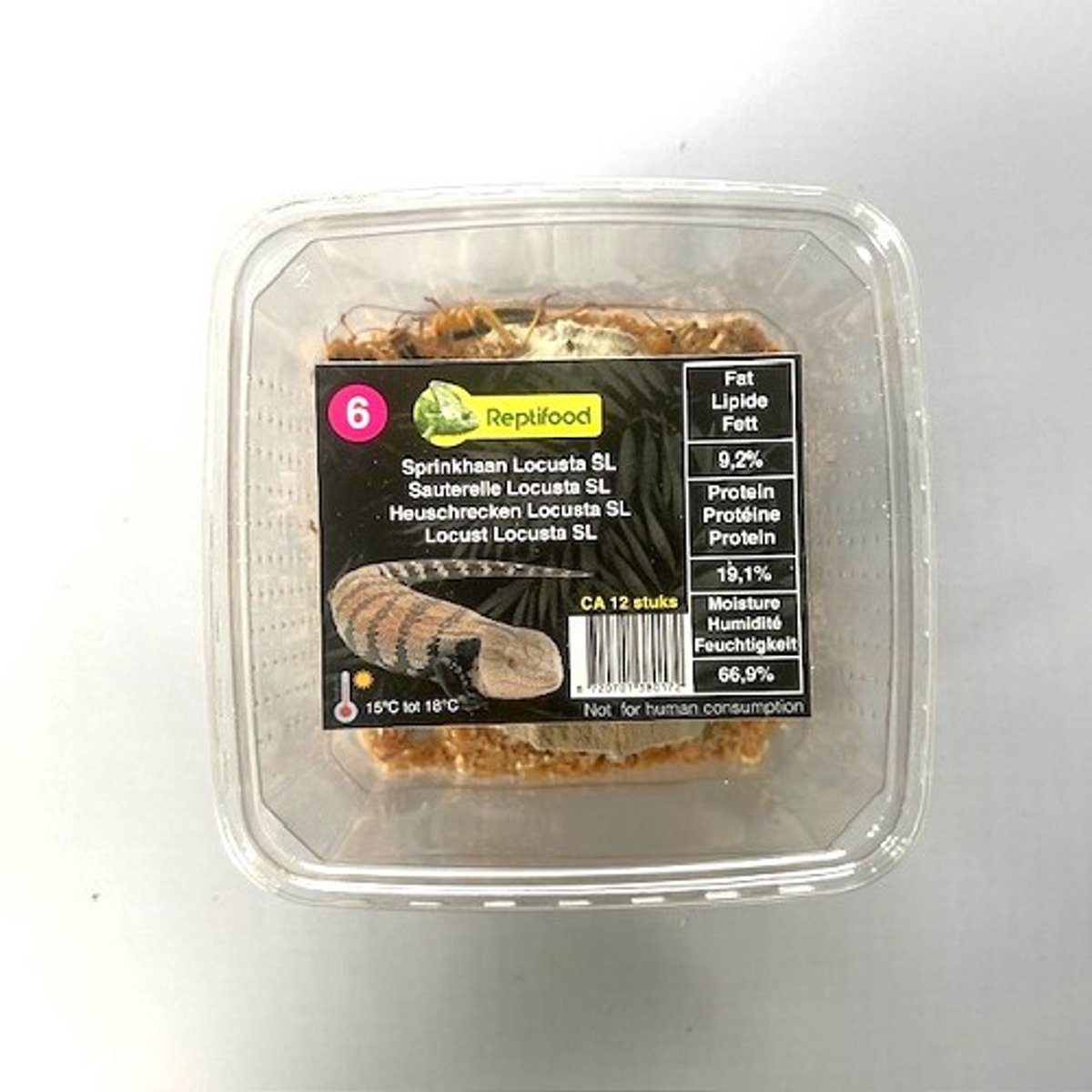 5 bakjes levende sprinkhanen maat 6