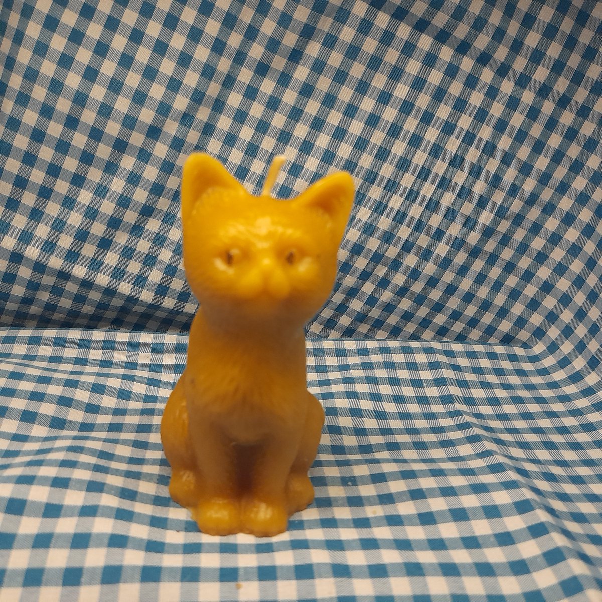 Bijenwas kaars, zittende kat