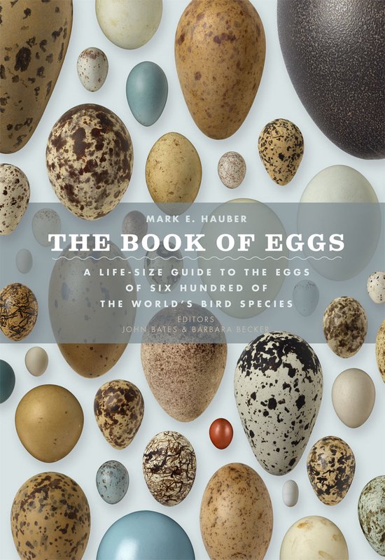 The Book of Eggs - cover