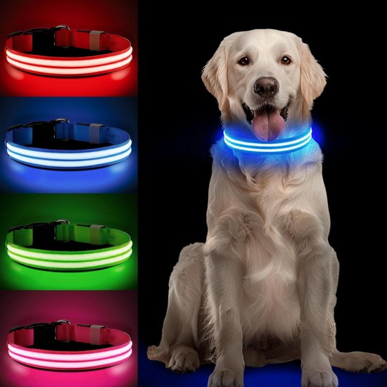 PcEoTllar Lichtgevende hondenhalsband, oplaadbaar, 3 modi