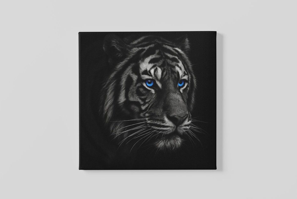 Trendex Global Vierkant Canvas Schilderij Dieren - Wilde Dieren - Tijger met Blauwe Ogen - 40x40 cm Zwart