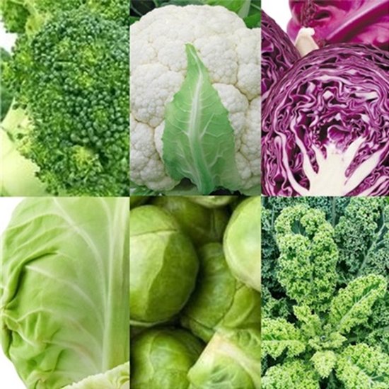 Kool zaden assortiment zaadlint (broccoli zaden, savooiekool zaden, rode kool zaden, witte kool zaden, spruiten zaden, boerenkool zaden)