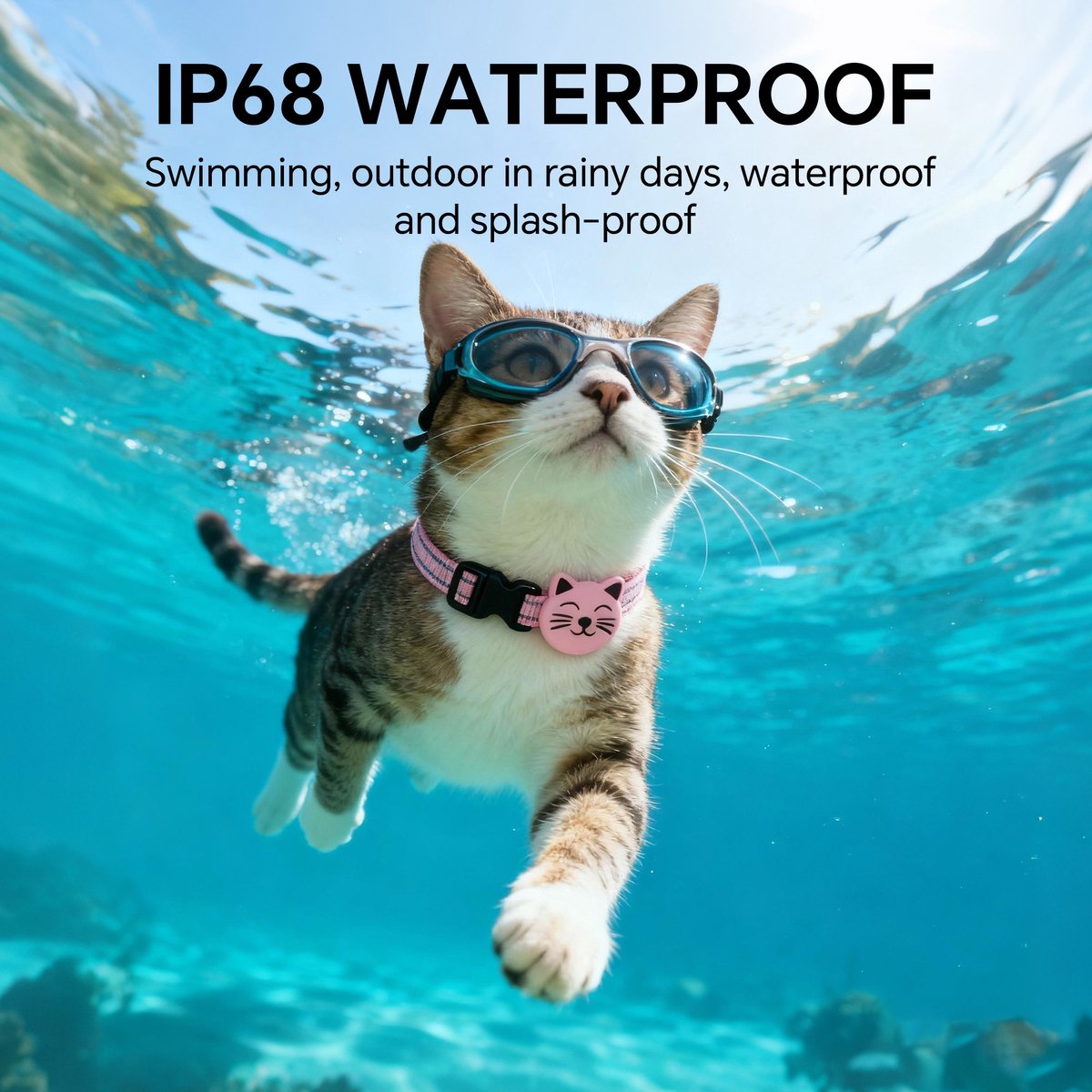 GPS KattenTracker - Zonder Maandelijkse Kosten - Werkt Met Android - IP68 Waterdicht - CR2032 Batterij (1+ Jaar) - Verstelbare Nylon Halsband - Halsomtrek 28-39 cm - Blauw thumbnail 6