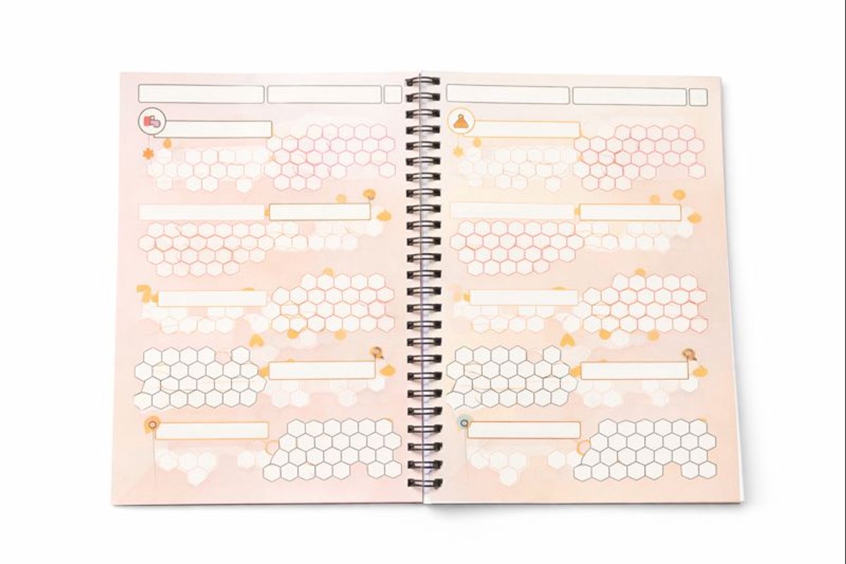 Fitness Planner - Sport Logboek - Workout Planner - Inclusief Weerstandsband — cadeau in Hobby - foto 5