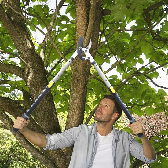 Verstelbare Aambeeld-Takkenschaar - Zware Boomschaar met 5 cm Snijcapaciteit en Telescopische Steel 71-98 cm — afbeelding 3