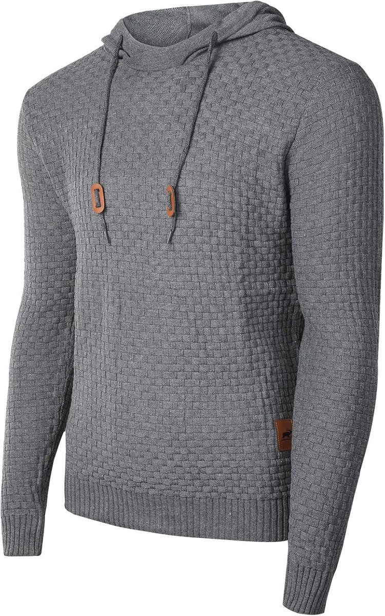 Casual Geruite Heren Hoodie met Capuchon en Lange Mouwen