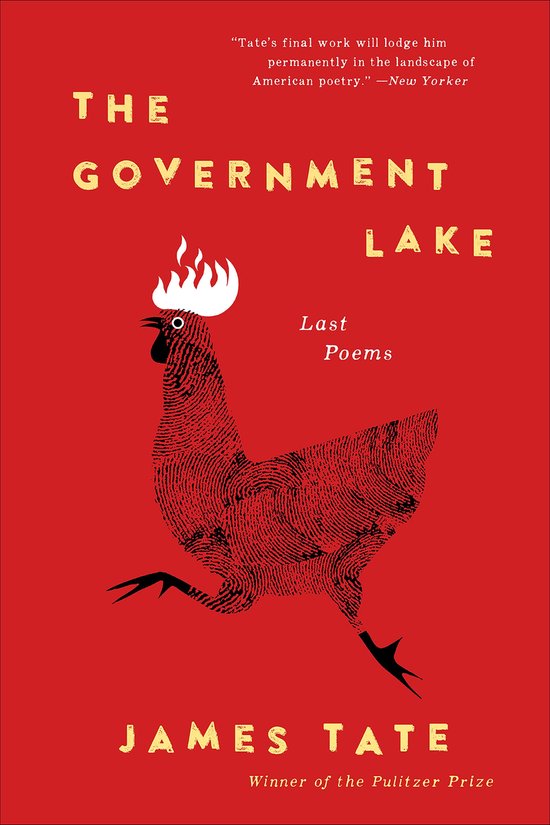The Government Lake - cover