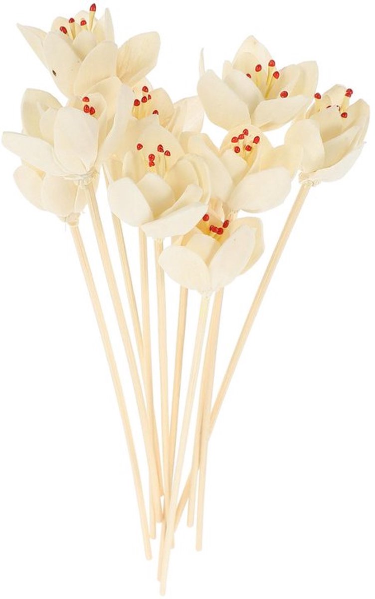 10pcs Rattan Sticks - Vervanging voor Flower Reed Diffuser - Geursticks voor Aroma Frisheid