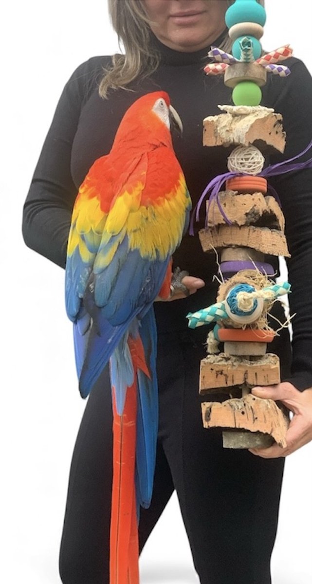 Speelgoed voor vogels - Home en dier -Speelgoed voor groot en middelgroot vogels