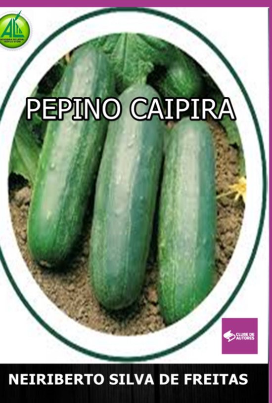 Pepino Caipira - cover