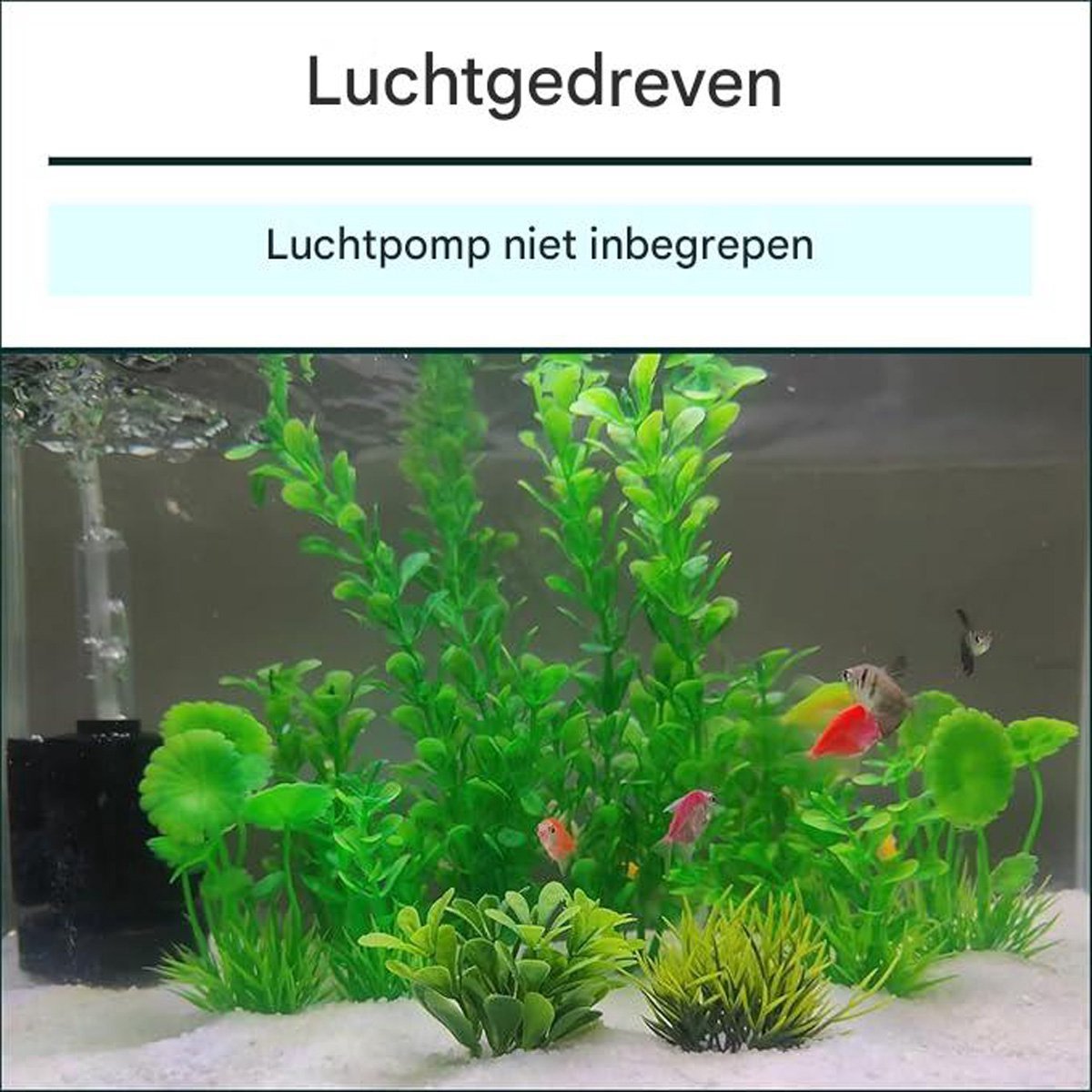 Vitdipy Sponsfilter - Binnenfilter tot 60 Liter thumbnail 2