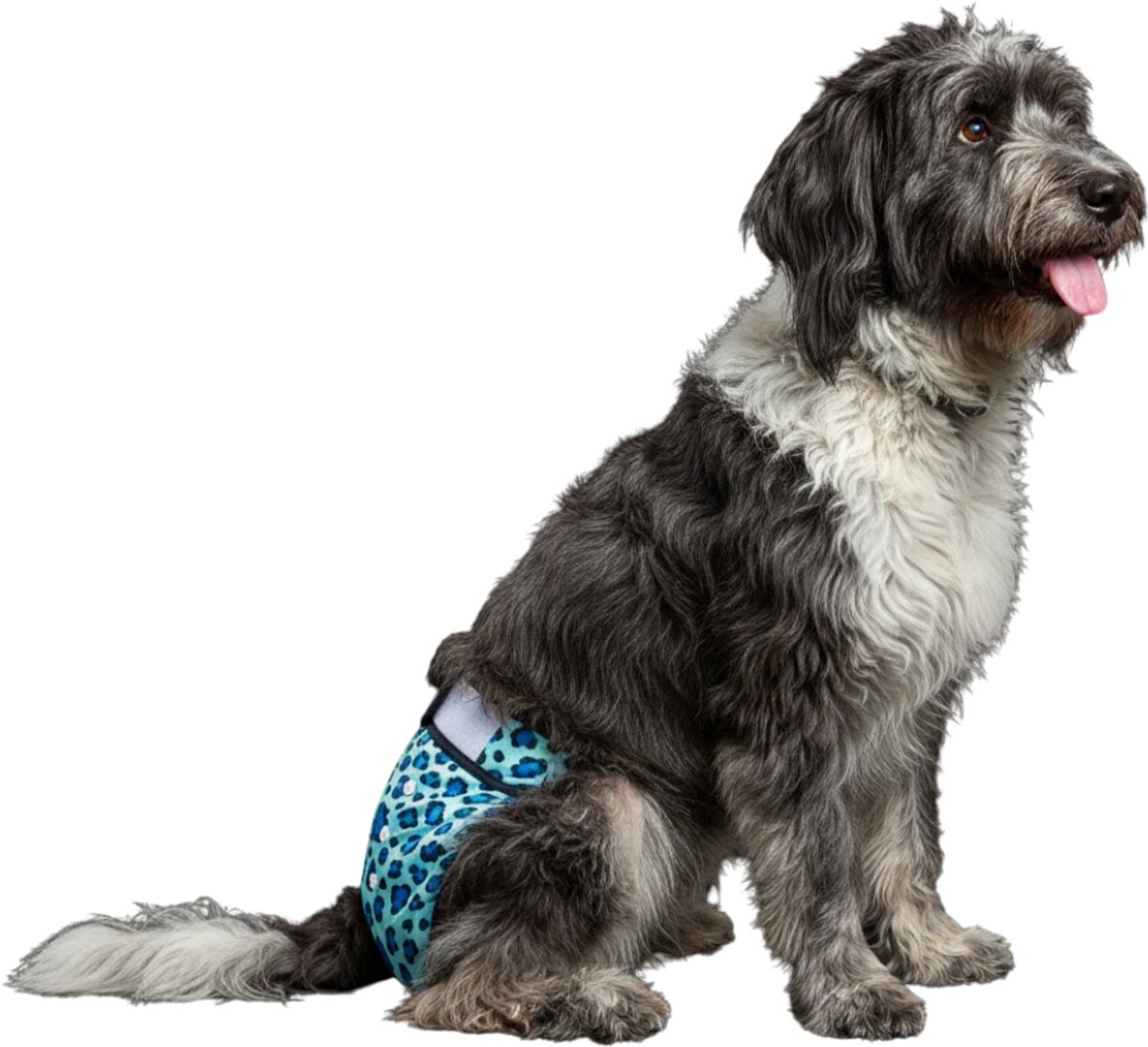Loopsheidbroekje Hond - L - Hondenluier - Luipaard Blauw - Wasbaar - Verstelbaar in lengte en breedte - Taille 36-46 cm
