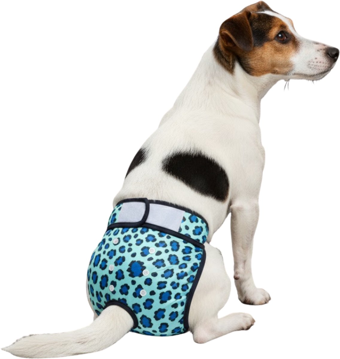 Loopsheidbroekje Hond - M - Hondenluier - Luipaard Blauw - Wasbaar